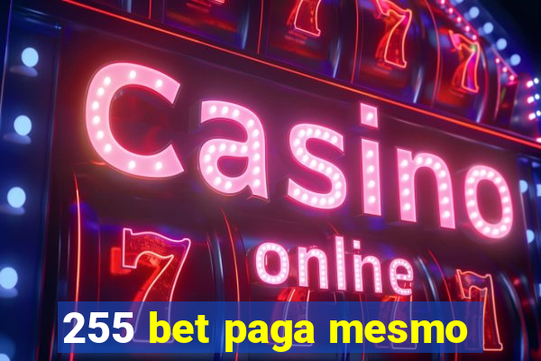 255 bet paga mesmo